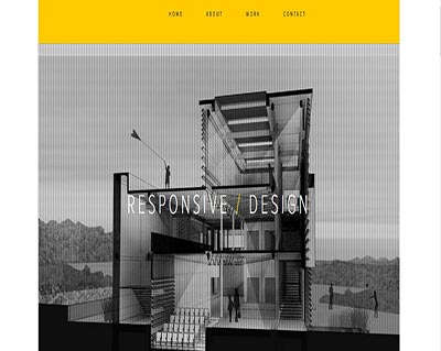 The Designer Lounge | Website Development
